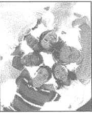 Original source illustration of Bubblegum band