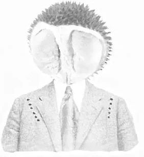 Original The Electronic Durian poster illustration: a durian-headed figure in a suit