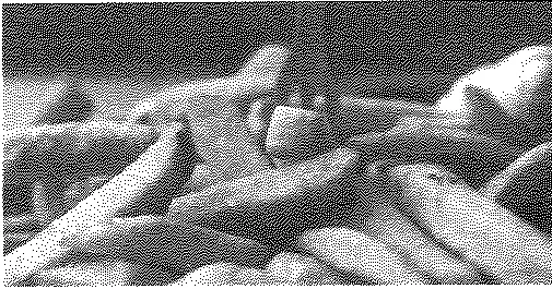 Original photograph of baked potato fries