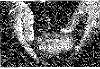 Original photograph of washing potatoes